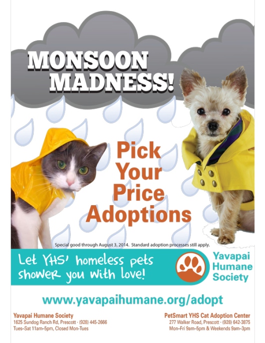 Poster-MonsoonMadness